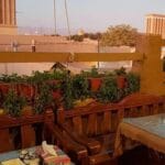 Jungle Hotel