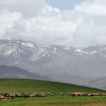 hamedan