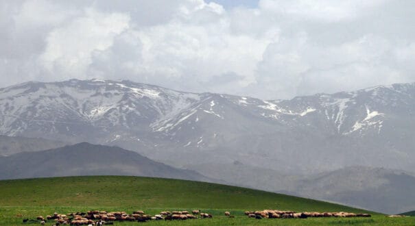 hamedan