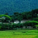 masal