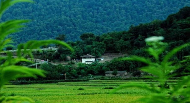 masal