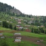 masal
