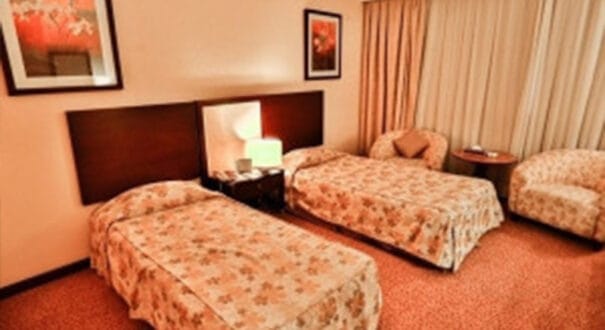 Twin Room - Laleh International Hotel Laleh International Hotel