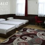 Saliz Hotel