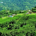 ilam