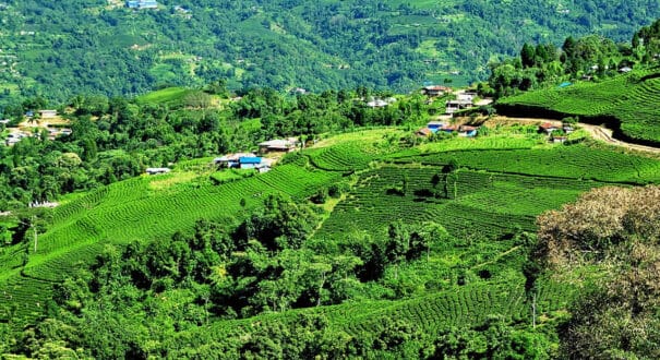 ilam ilam