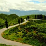 ilam