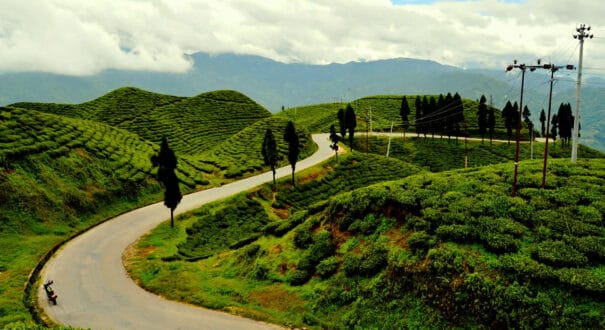 ilam ilam