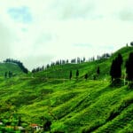 Ilam