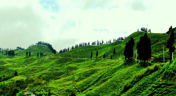 ilam4 Ilam