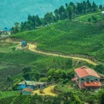 Ilam