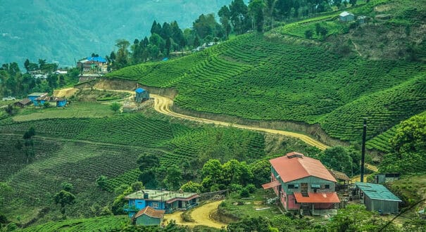 ilam5 Ilam