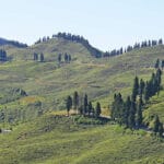 ilam