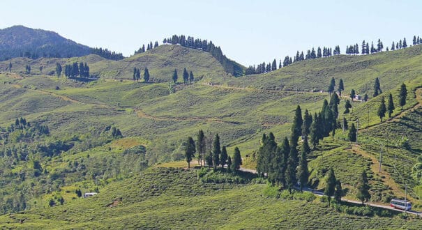 ilam ilam