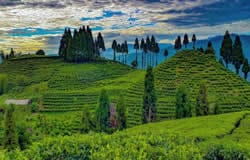 Ilam